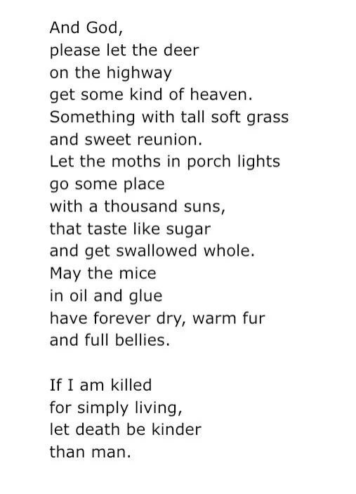 And God,
please let the deer
on the highway
get some kind of heaven.
Something with tall soft grass
and sweet reunion.
Let the moths in the porch lights
go some place
with a thousand suns,
that taste like sugar
and get swallowed whole.
May the mice
in oil and glue
have forever dry, warm fur
and full bellies.

If I am killed 
for simply living,
let death be kinder
than man.